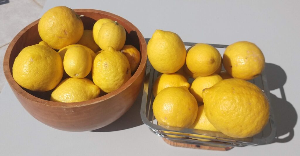 Lemons